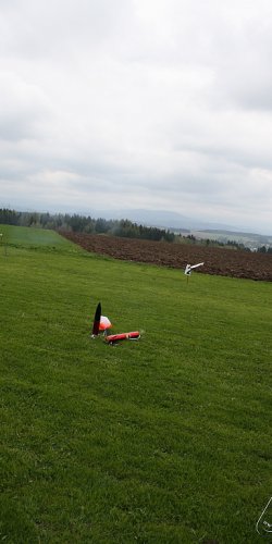 2013 Svojek Mirek Topinka